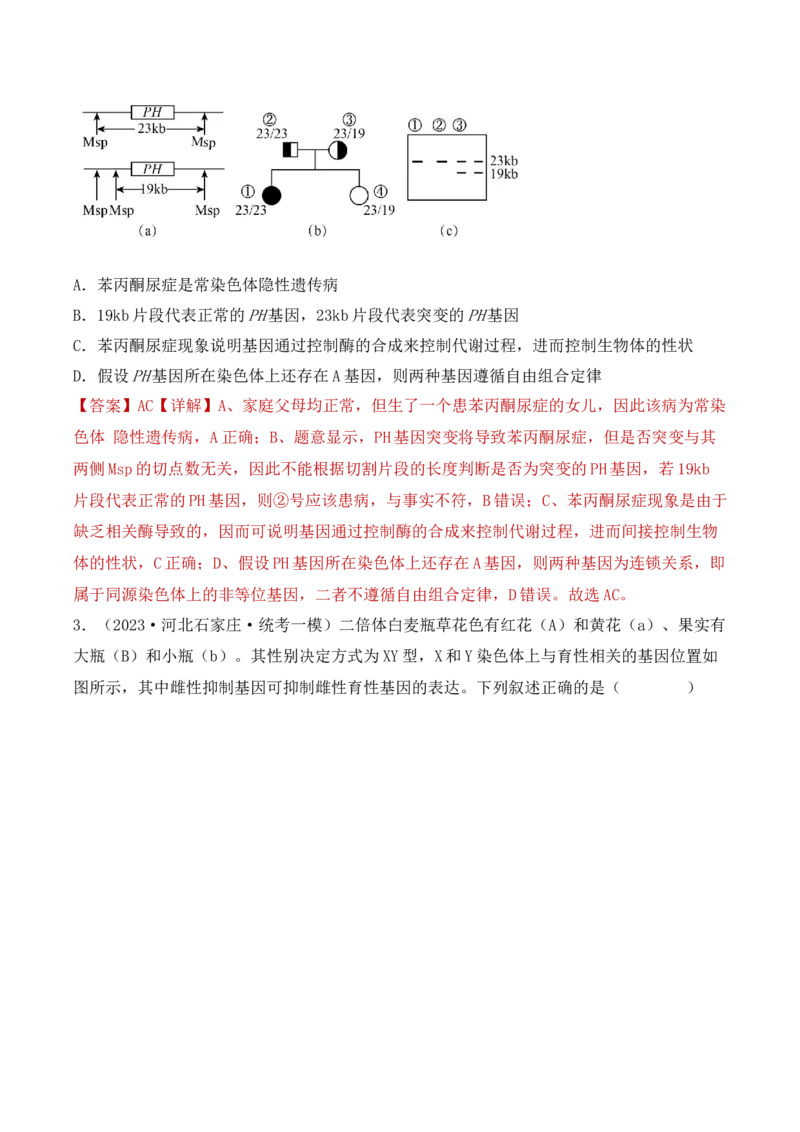 专题06基因的分离定律和自由组合定律（解析版）_2024年新高考资料_3.2024专项复习_备战2024年高考生物一轮复习重难点突破讲解与训练（新教材）