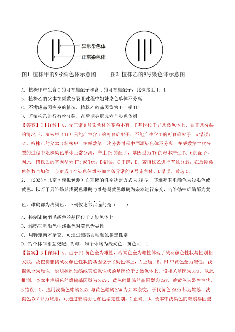 专题06基因的分离定律和自由组合定律（解析版）_2024年新高考资料_3.2024专项复习_备战2024年高考生物一轮复习重难点突破讲解与训练（新教材）