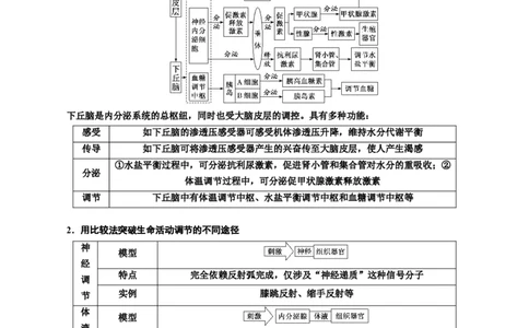 专题31动物生命活动调节的综合分析（原卷版)_2024年新高考资料_3.2024专项复习_备战2024年高考生物一轮复习重难点专项突破