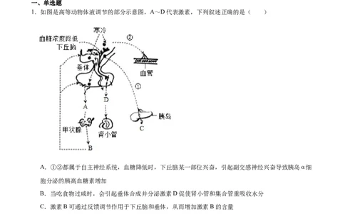 专题31动物生命活动调节的综合分析（原卷版)_2024年新高考资料_3.2024专项复习_备战2024年高考生物一轮复习重难点专项突破