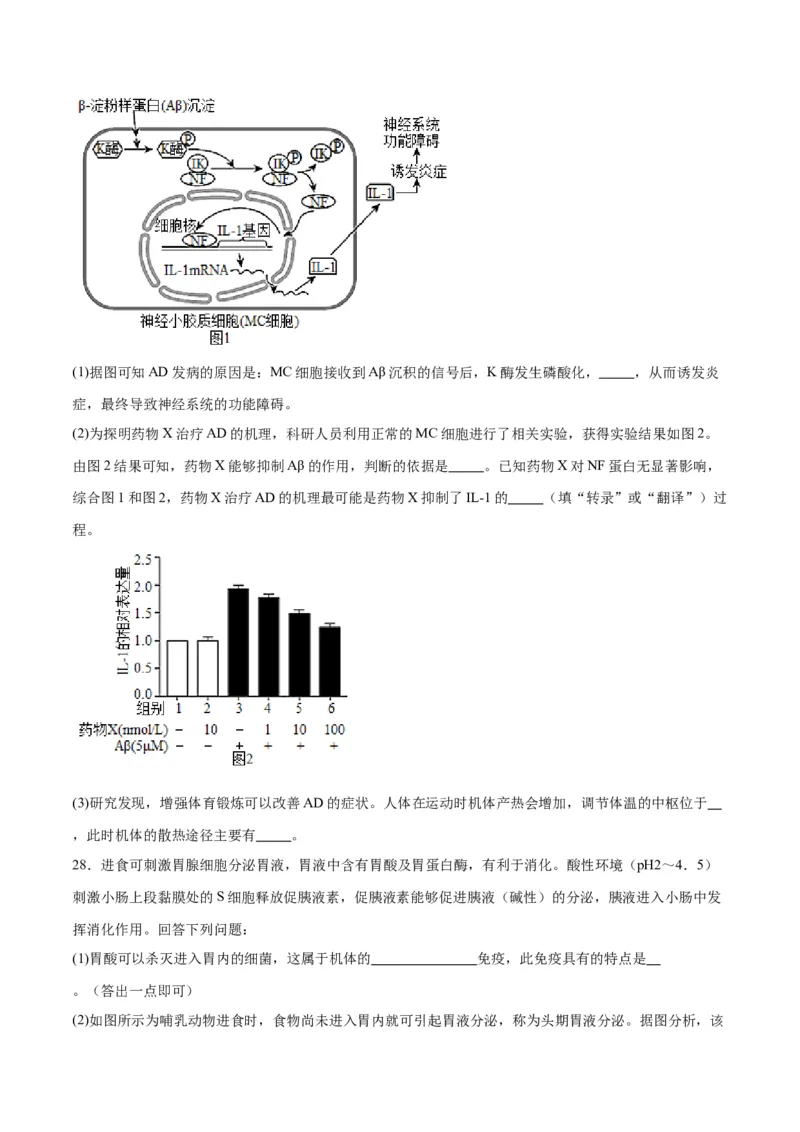 专题31动物生命活动调节的综合分析（原卷版)_2024年新高考资料_3.2024专项复习_备战2024年高考生物一轮复习重难点专项突破