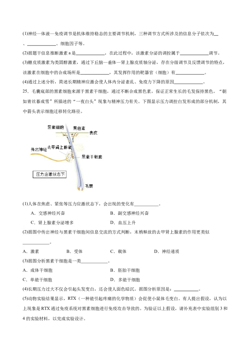 专题31动物生命活动调节的综合分析（原卷版)_2024年新高考资料_3.2024专项复习_备战2024年高考生物一轮复习重难点专项突破
