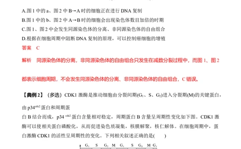 专题二有丝分裂与减数分裂重难集训（解析版）_2024年新高考资料_5.2024三轮冲刺_2024年高考生物考前最后冲刺