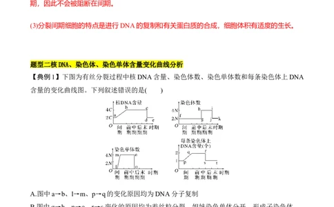 专题二有丝分裂与减数分裂重难集训（解析版）_2024年新高考资料_5.2024三轮冲刺_2024年高考生物考前最后冲刺