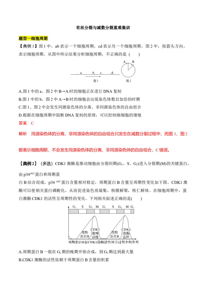 专题二有丝分裂与减数分裂重难集训（解析版）_2024年新高考资料_5.2024三轮冲刺_2024年高考生物考前最后冲刺