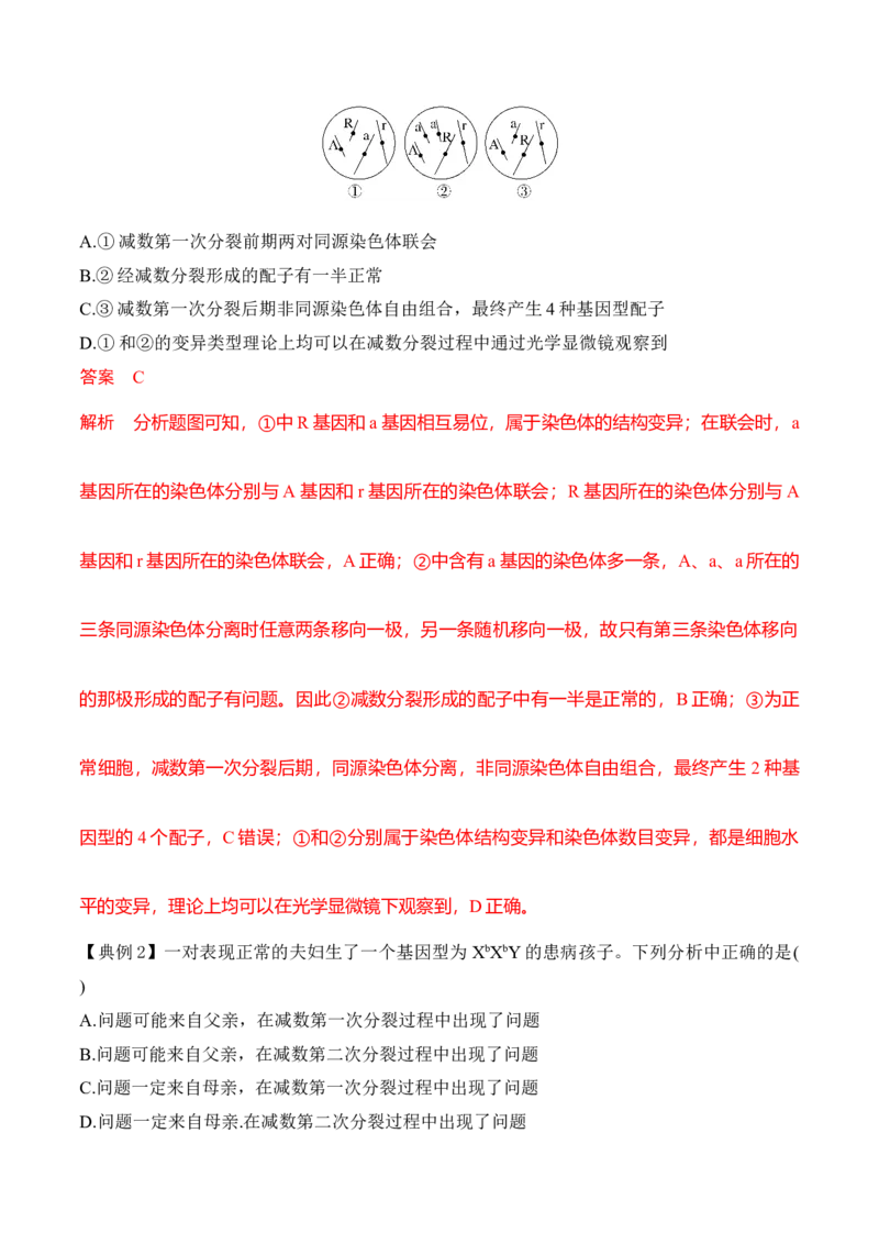 专题二有丝分裂与减数分裂重难集训（解析版）_2024年新高考资料_5.2024三轮冲刺_2024年高考生物考前最后冲刺