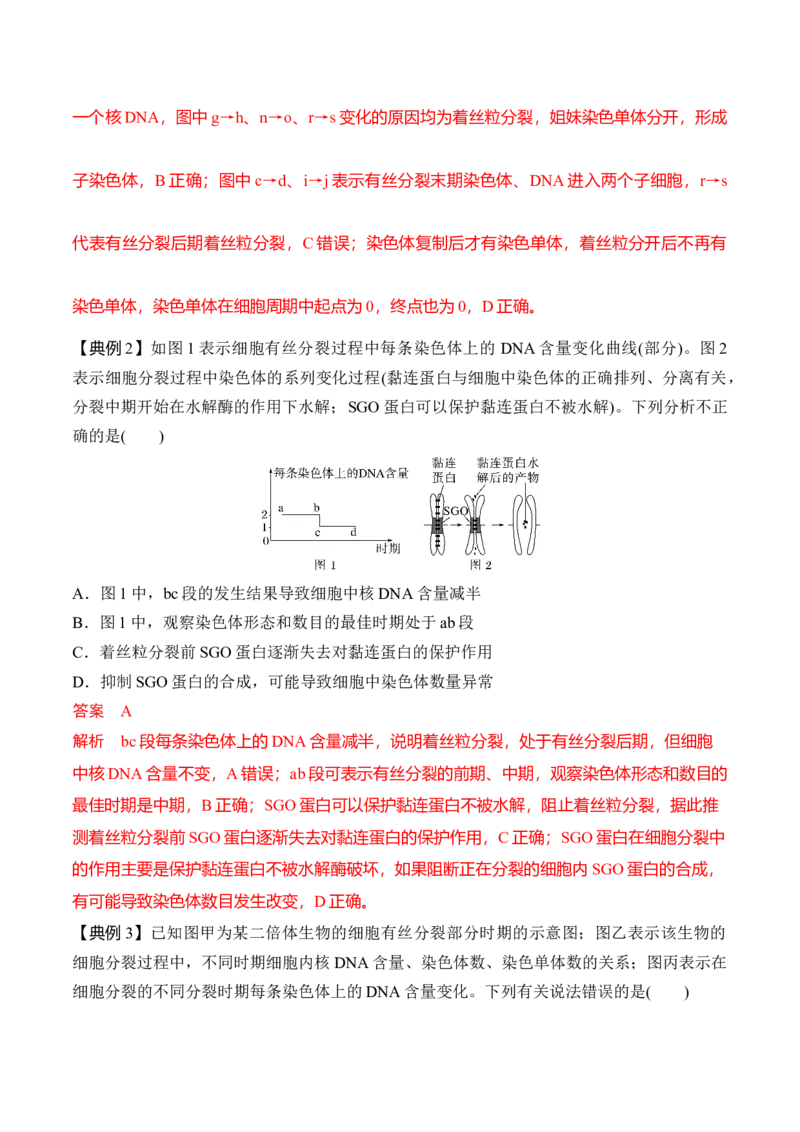 专题二有丝分裂与减数分裂重难集训（解析版）_2024年新高考资料_5.2024三轮冲刺_2024年高考生物考前最后冲刺