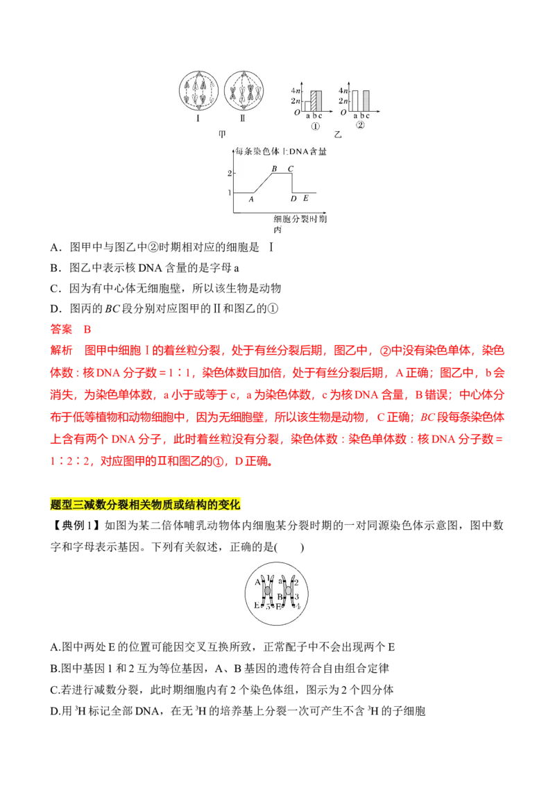 专题二有丝分裂与减数分裂重难集训（解析版）_2024年新高考资料_5.2024三轮冲刺_2024年高考生物考前最后冲刺
