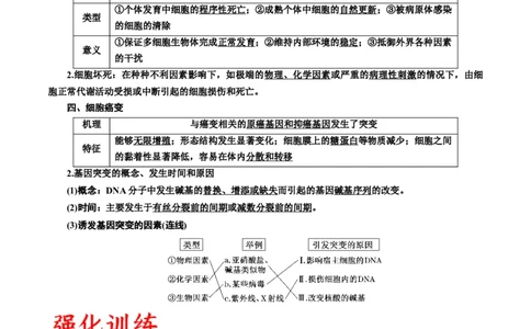 专题14细胞分化、衰老、凋亡和癌变（原卷版)_2024年新高考资料_3.2024专项复习_备战2024年高考生物一轮复习重难点专项突破_专题14细胞分化、衰老、凋亡和癌变