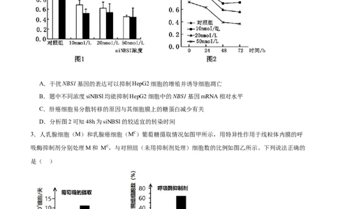 专题14细胞分化、衰老、凋亡和癌变（原卷版)_2024年新高考资料_3.2024专项复习_备战2024年高考生物一轮复习重难点专项突破_专题14细胞分化、衰老、凋亡和癌变