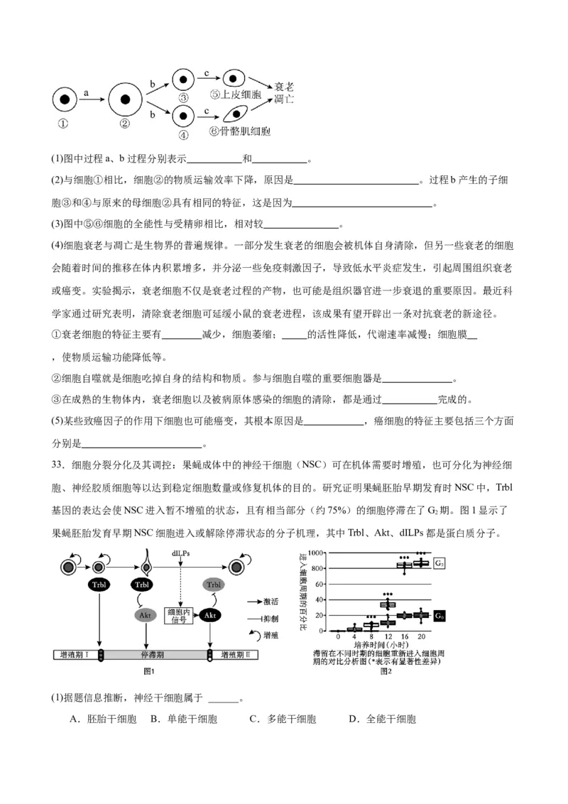 专题14细胞分化、衰老、凋亡和癌变（原卷版)_2024年新高考资料_3.2024专项复习_备战2024年高考生物一轮复习重难点专项突破_专题14细胞分化、衰老、凋亡和癌变