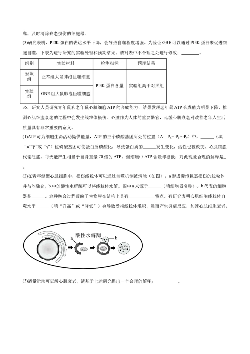 专题14细胞分化、衰老、凋亡和癌变（原卷版)_2024年新高考资料_3.2024专项复习_备战2024年高考生物一轮复习重难点专项突破_专题14细胞分化、衰老、凋亡和癌变
