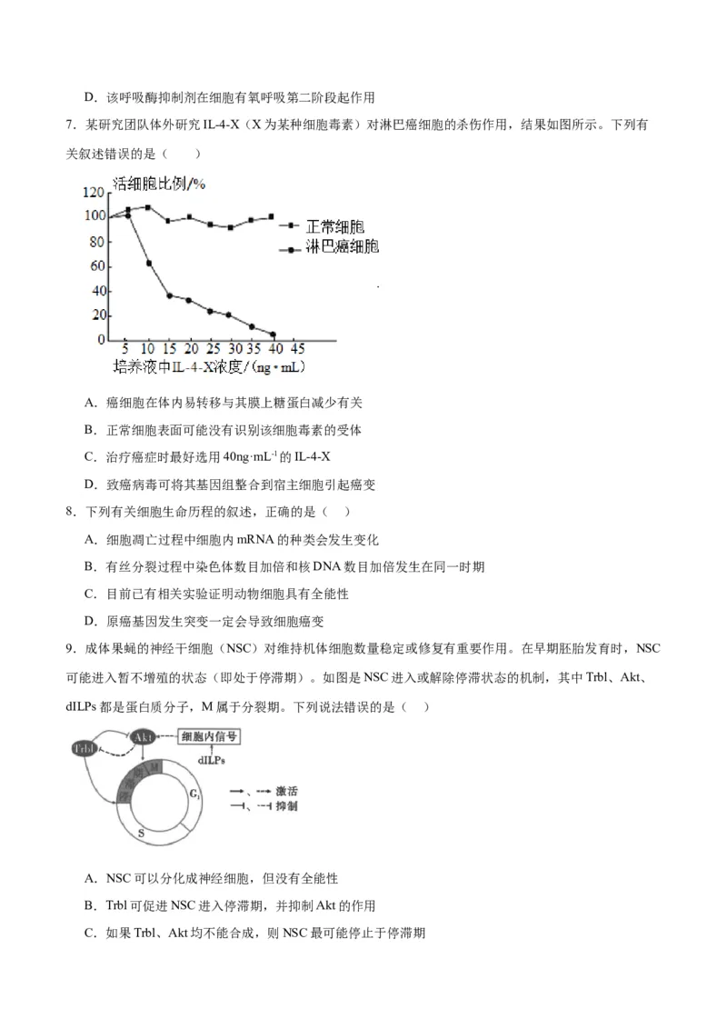 专题14细胞分化、衰老、凋亡和癌变（原卷版)_2024年新高考资料_3.2024专项复习_备战2024年高考生物一轮复习重难点专项突破_专题14细胞分化、衰老、凋亡和癌变