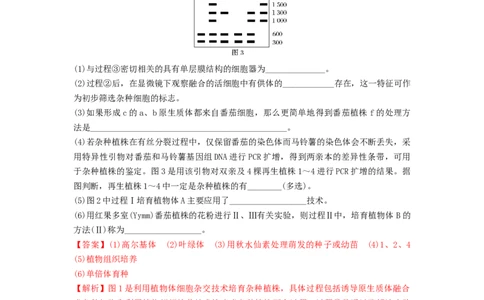 专题33细胞工程和胚胎工程（串讲）（解析版）_2024年新高考资料_1.2024一轮复习_备战2024年高考生物一轮复习串讲精练（新高考专用）