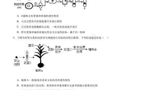 专题40植物细胞工程（原卷版）_2024年新高考资料_3.2024专项复习_备战2024年高考生物一轮复习重难点专项突破_专题40植物细胞工程-备战2024年高考生物一轮复习重难点专项突破