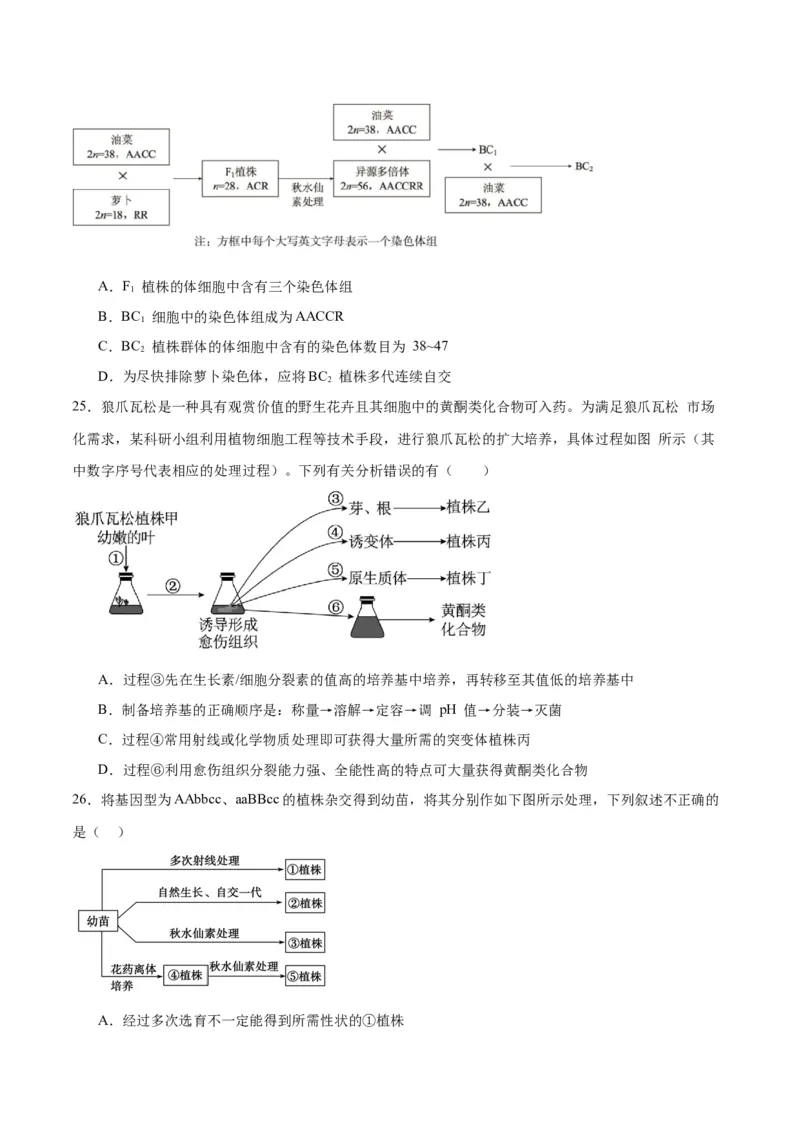 专题40植物细胞工程（原卷版）_2024年新高考资料_3.2024专项复习_备战2024年高考生物一轮复习重难点专项突破_专题40植物细胞工程-备战2024年高考生物一轮复习重难点专项突破