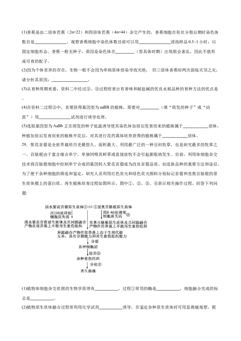 专题40植物细胞工程（原卷版）_2024年新高考资料_3.2024专项复习_备战2024年高考生物一轮复习重难点专项突破_专题40植物细胞工程-备战2024年高考生物一轮复习重难点专项突破