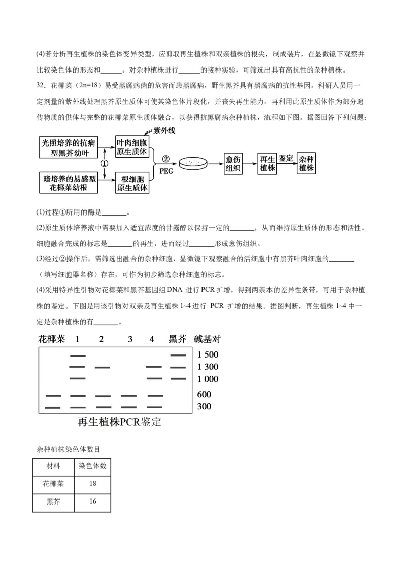专题40植物细胞工程（原卷版）_2024年新高考资料_3.2024专项复习_备战2024年高考生物一轮复习重难点专项突破_专题40植物细胞工程-备战2024年高考生物一轮复习重难点专项突破