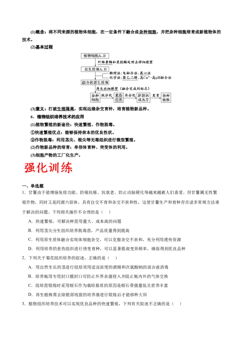 专题40植物细胞工程（原卷版）_2024年新高考资料_3.2024专项复习_备战2024年高考生物一轮复习重难点专项突破_专题40植物细胞工程-备战2024年高考生物一轮复习重难点专项突破