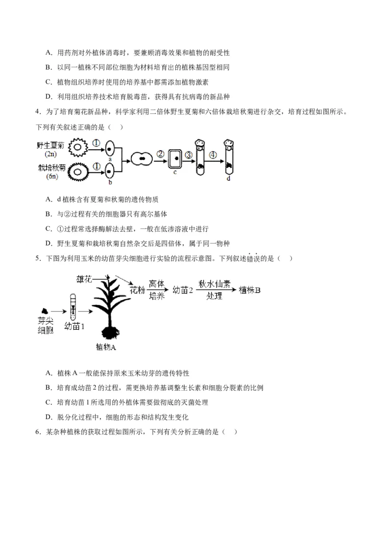 专题40植物细胞工程（原卷版）_2024年新高考资料_3.2024专项复习_备战2024年高考生物一轮复习重难点专项突破_专题40植物细胞工程-备战2024年高考生物一轮复习重难点专项突破