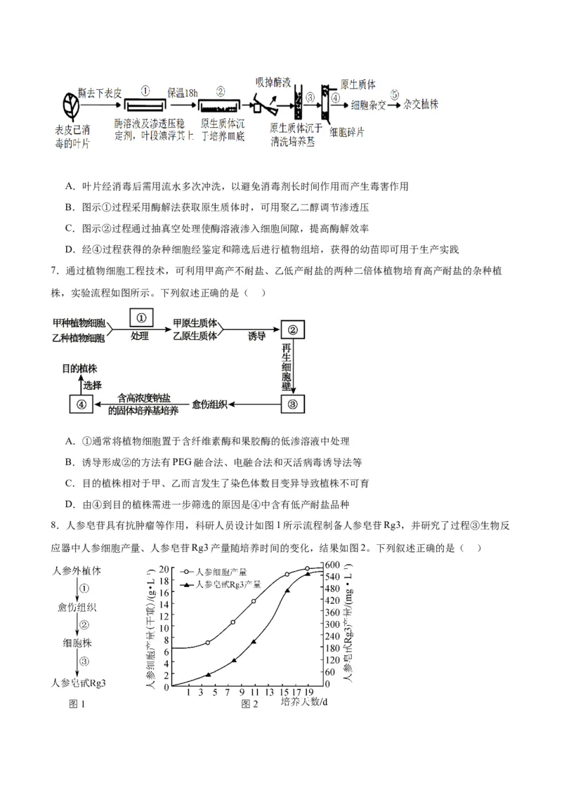 专题40植物细胞工程（原卷版）_2024年新高考资料_3.2024专项复习_备战2024年高考生物一轮复习重难点专项突破_专题40植物细胞工程-备战2024年高考生物一轮复习重难点专项突破