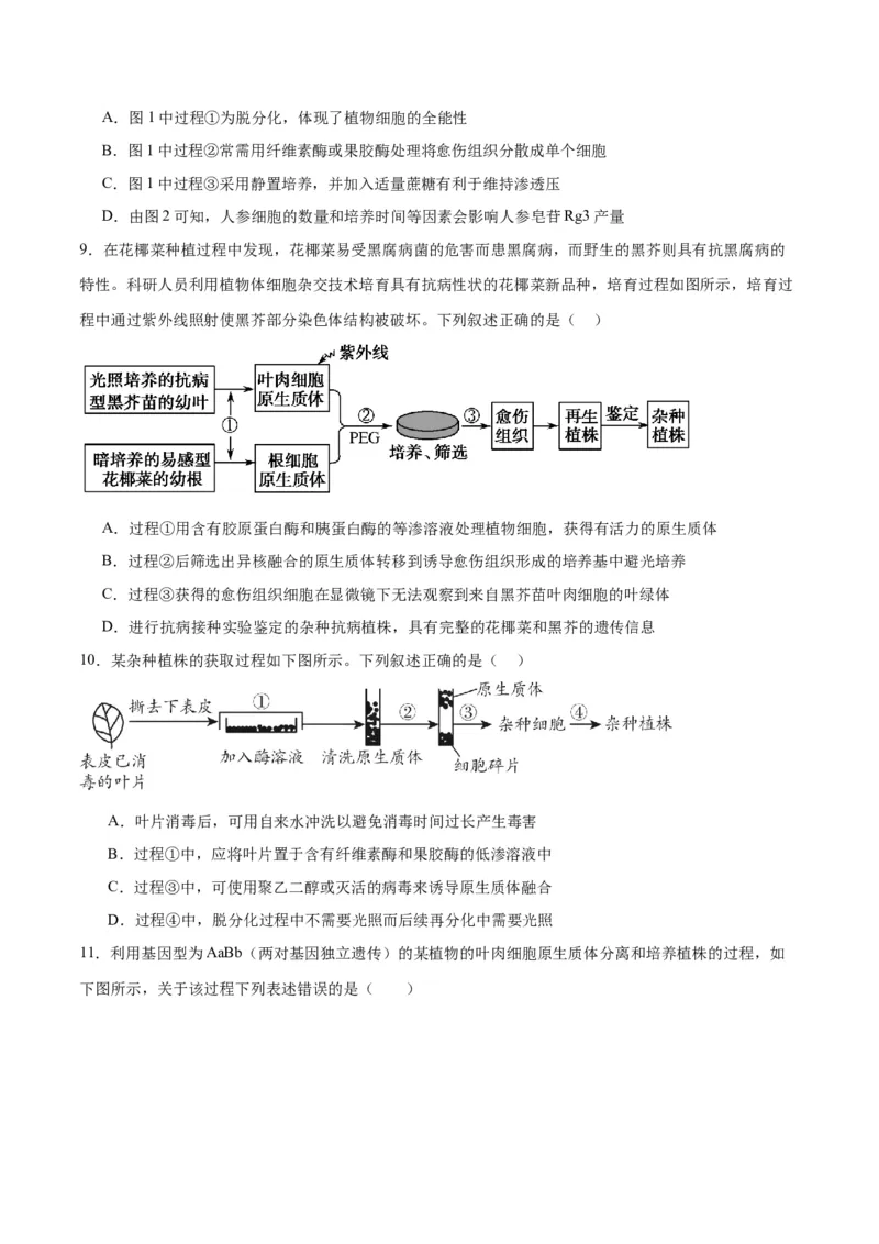 专题40植物细胞工程（原卷版）_2024年新高考资料_3.2024专项复习_备战2024年高考生物一轮复习重难点专项突破_专题40植物细胞工程-备战2024年高考生物一轮复习重难点专项突破