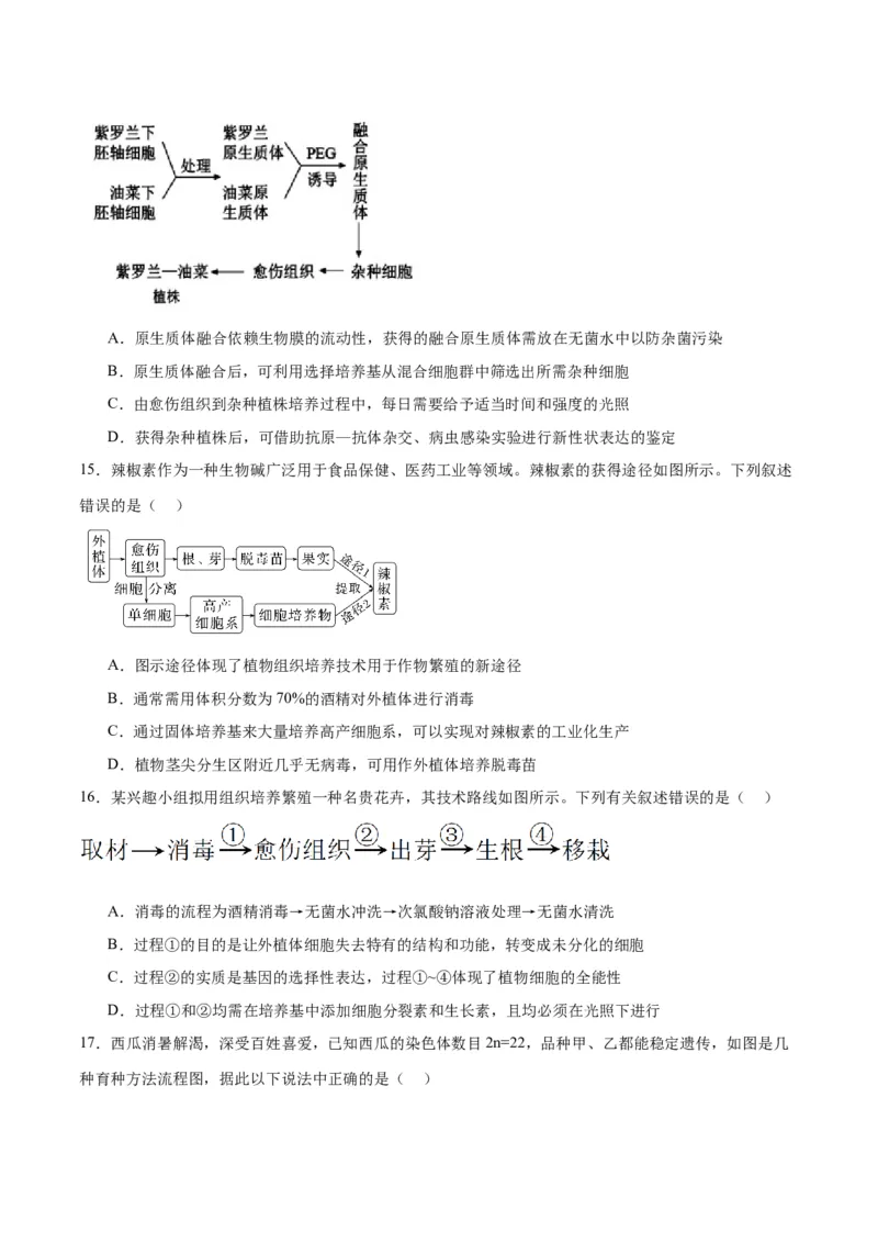 专题40植物细胞工程（原卷版）_2024年新高考资料_3.2024专项复习_备战2024年高考生物一轮复习重难点专项突破_专题40植物细胞工程-备战2024年高考生物一轮复习重难点专项突破