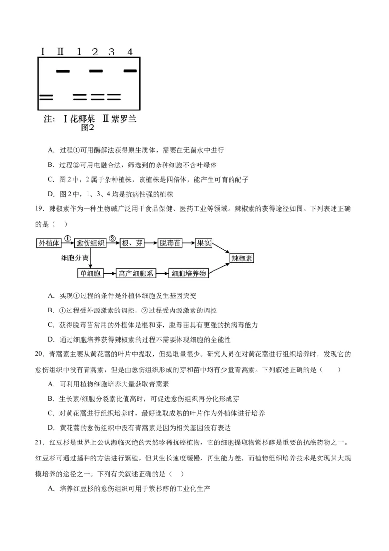 专题40植物细胞工程（原卷版）_2024年新高考资料_3.2024专项复习_备战2024年高考生物一轮复习重难点专项突破_专题40植物细胞工程-备战2024年高考生物一轮复习重难点专项突破