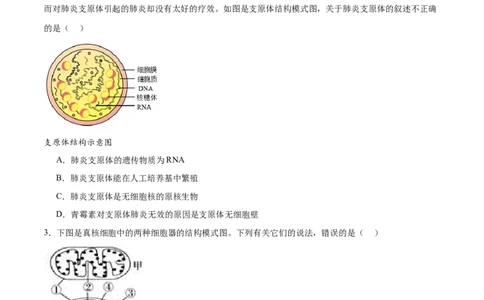 专题一细胞的物质基础和结构基础（测试）（原卷版）_2024年新高考资料_2.2024二轮复习_2024年高考生物二轮复习讲练测（新教材新高考）