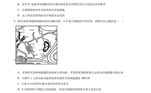 专题一细胞的物质基础和结构基础（测试）（原卷版）_2024年新高考资料_2.2024二轮复习_2024年高考生物二轮复习讲练测（新教材新高考）