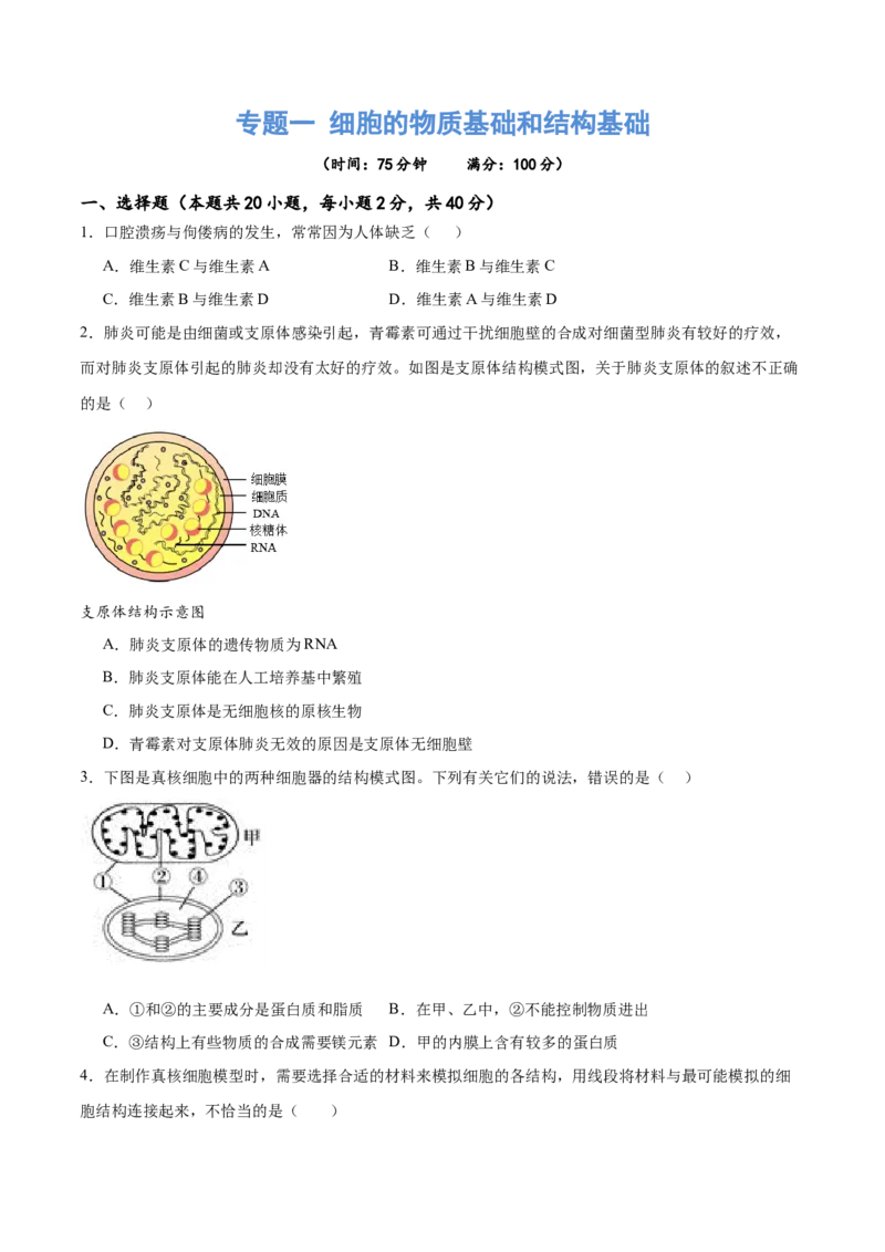 专题一细胞的物质基础和结构基础（测试）（原卷版）_2024年新高考资料_2.2024二轮复习_2024年高考生物二轮复习讲练测（新教材新高考）