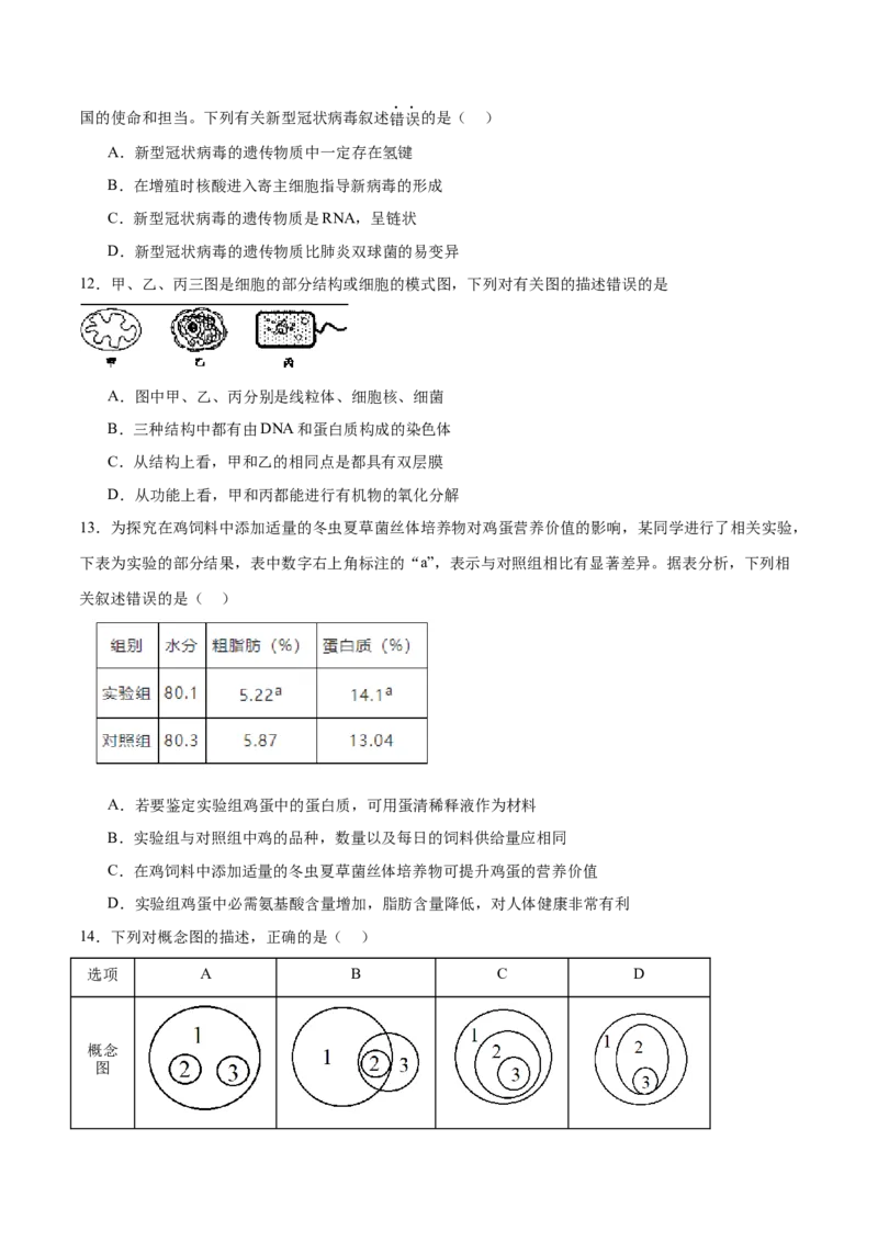 专题一细胞的物质基础和结构基础（测试）（原卷版）_2024年新高考资料_2.2024二轮复习_2024年高考生物二轮复习讲练测（新教材新高考）