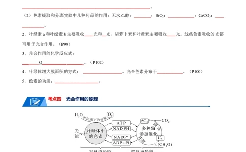 宝典05细胞呼吸和光合作用（原卷版）_2024年新高考资料_1.2024一轮复习_2024年高考生物一轮复习知识清单