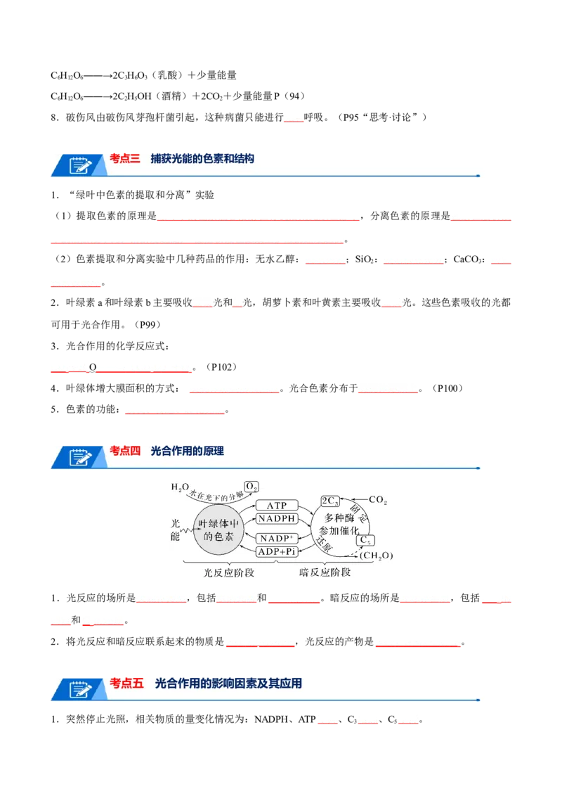 宝典05细胞呼吸和光合作用（原卷版）_2024年新高考资料_1.2024一轮复习_2024年高考生物一轮复习知识清单