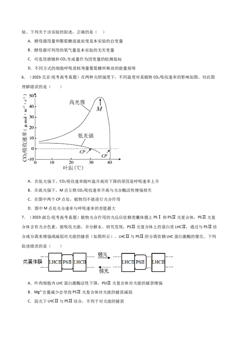 宝典05细胞呼吸和光合作用（原卷版）_2024年新高考资料_1.2024一轮复习_2024年高考生物一轮复习知识清单