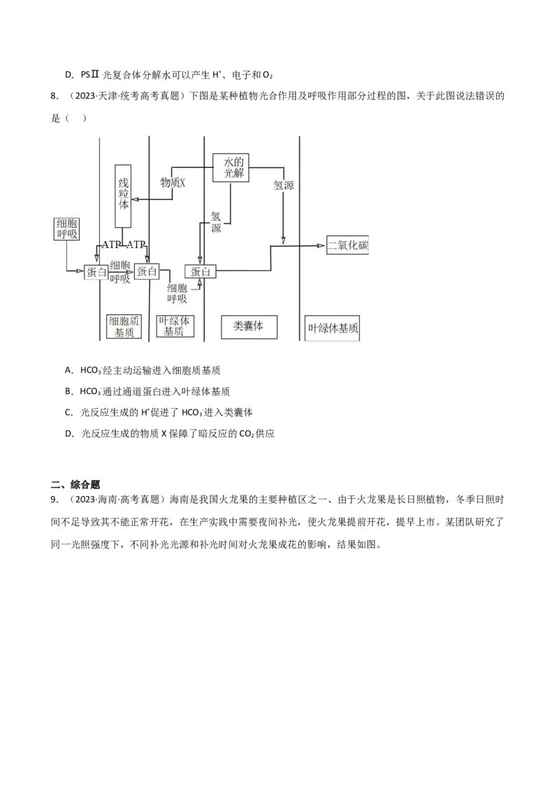 宝典05细胞呼吸和光合作用（原卷版）_2024年新高考资料_1.2024一轮复习_2024年高考生物一轮复习知识清单