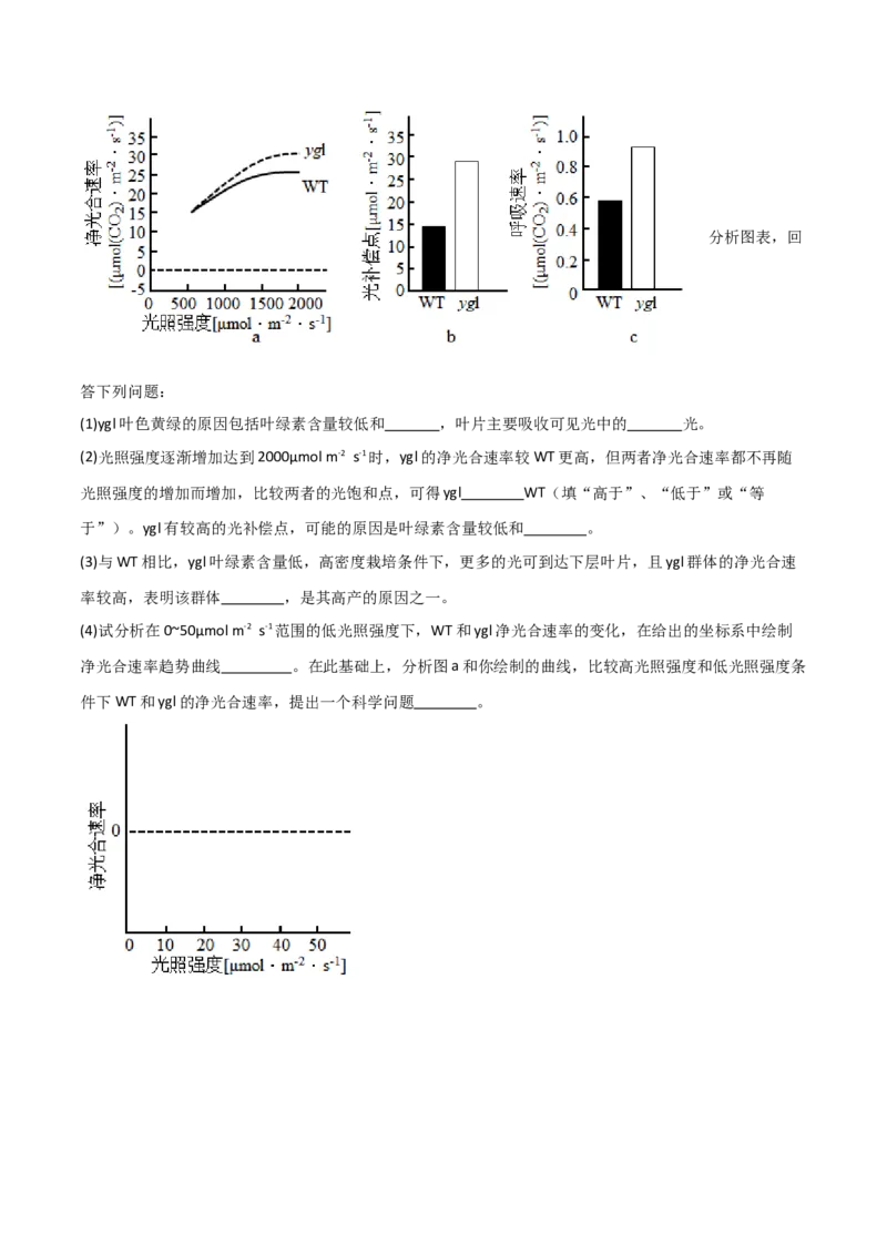 宝典05细胞呼吸和光合作用（原卷版）_2024年新高考资料_1.2024一轮复习_2024年高考生物一轮复习知识清单