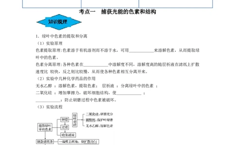 专题09光合作用（串讲）（原卷版）_2024年新高考资料_1.2024一轮复习_备战2024年高考生物一轮复习串讲精练（新高考专用）