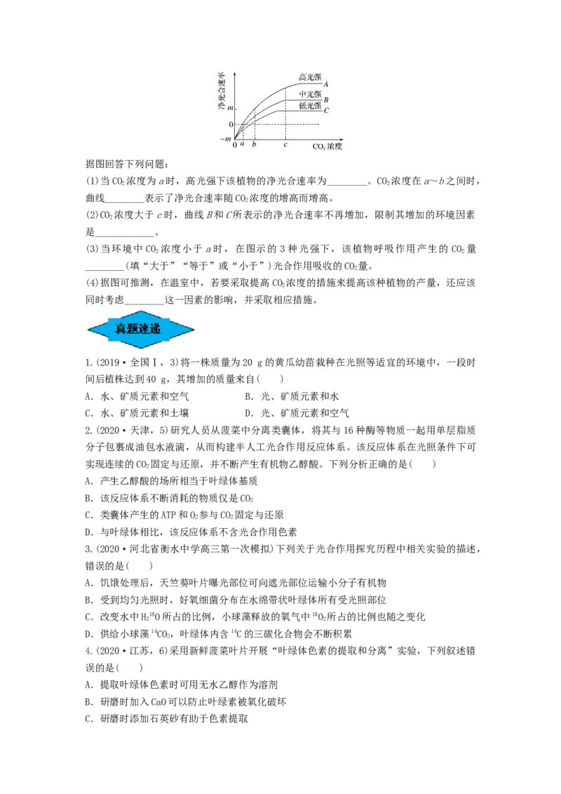 专题09光合作用（串讲）（原卷版）_2024年新高考资料_1.2024一轮复习_备战2024年高考生物一轮复习串讲精练（新高考专用）