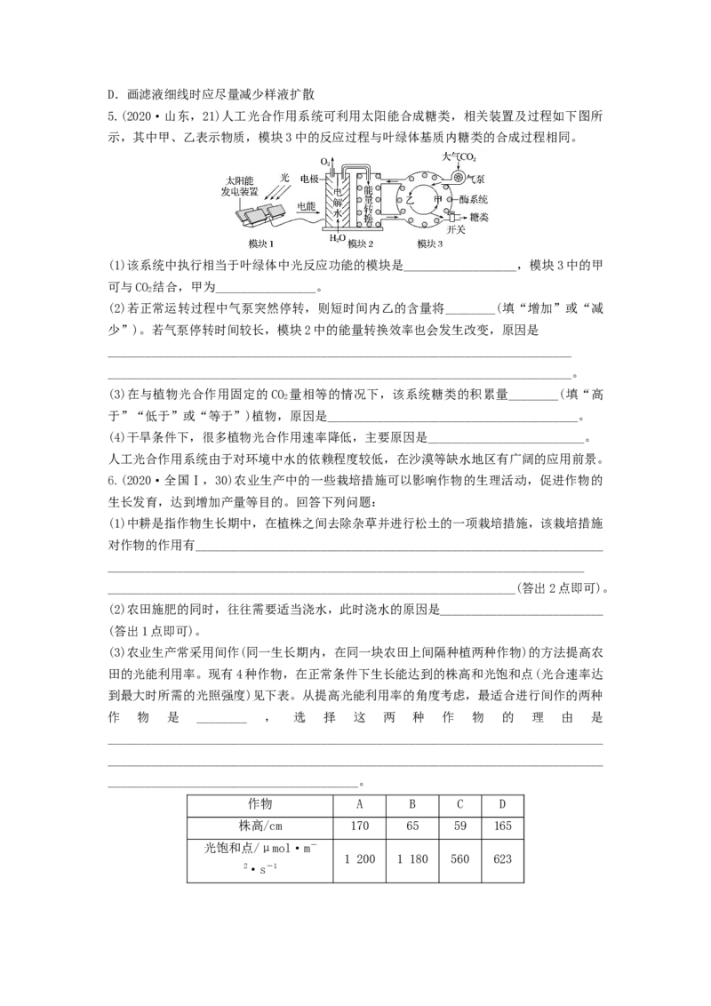 专题09光合作用（串讲）（原卷版）_2024年新高考资料_1.2024一轮复习_备战2024年高考生物一轮复习串讲精练（新高考专用）
