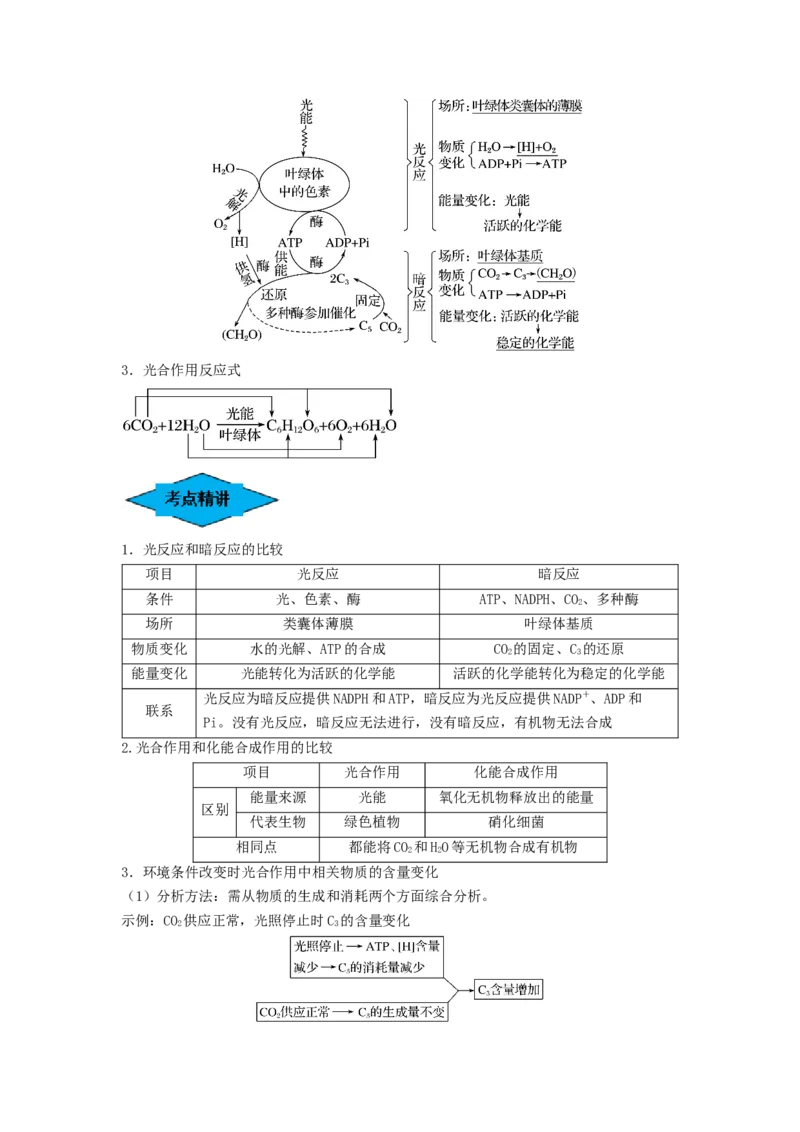 专题09光合作用（串讲）（原卷版）_2024年新高考资料_1.2024一轮复习_备战2024年高考生物一轮复习串讲精练（新高考专用）