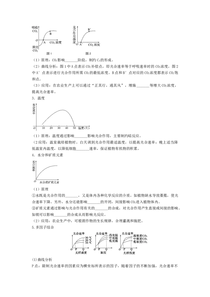 专题09光合作用（串讲）（原卷版）_2024年新高考资料_1.2024一轮复习_备战2024年高考生物一轮复习串讲精练（新高考专用）