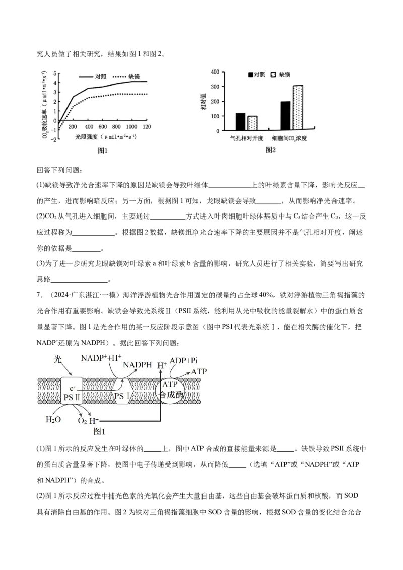 押广东卷第17题光合作用的应用（原卷版）_2024年新高考资料_5.2024三轮冲刺_备战2024年高考生物临考题号押题（广东专用）323137816