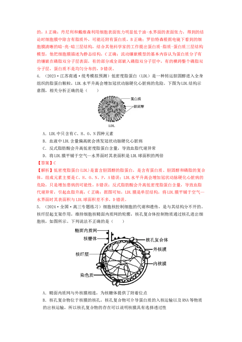 专题05细胞膜与细胞核（解析版）_2024年新高考资料_1.2024一轮复习_备战2024年高考生物一轮复习抢分特训（全国通用）