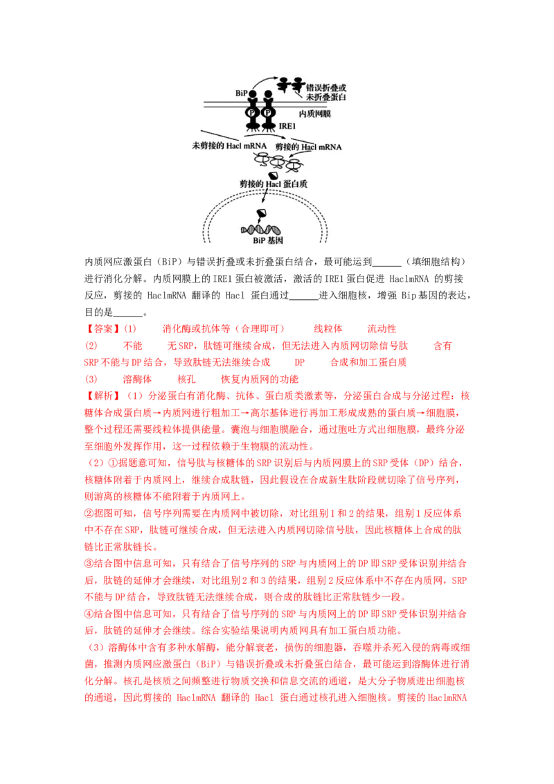 专题05细胞膜与细胞核（解析版）_2024年新高考资料_1.2024一轮复习_备战2024年高考生物一轮复习抢分特训（全国通用）