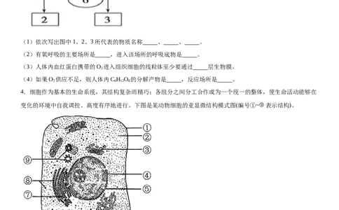 专题一分子与细胞（综合题特训）-2024年高考生物二轮复习专题训练（全国通用）（解析版）_2024年新高考资料_2.2024二轮复习_2024年高考生物二轮复习专题训练（全国通用）