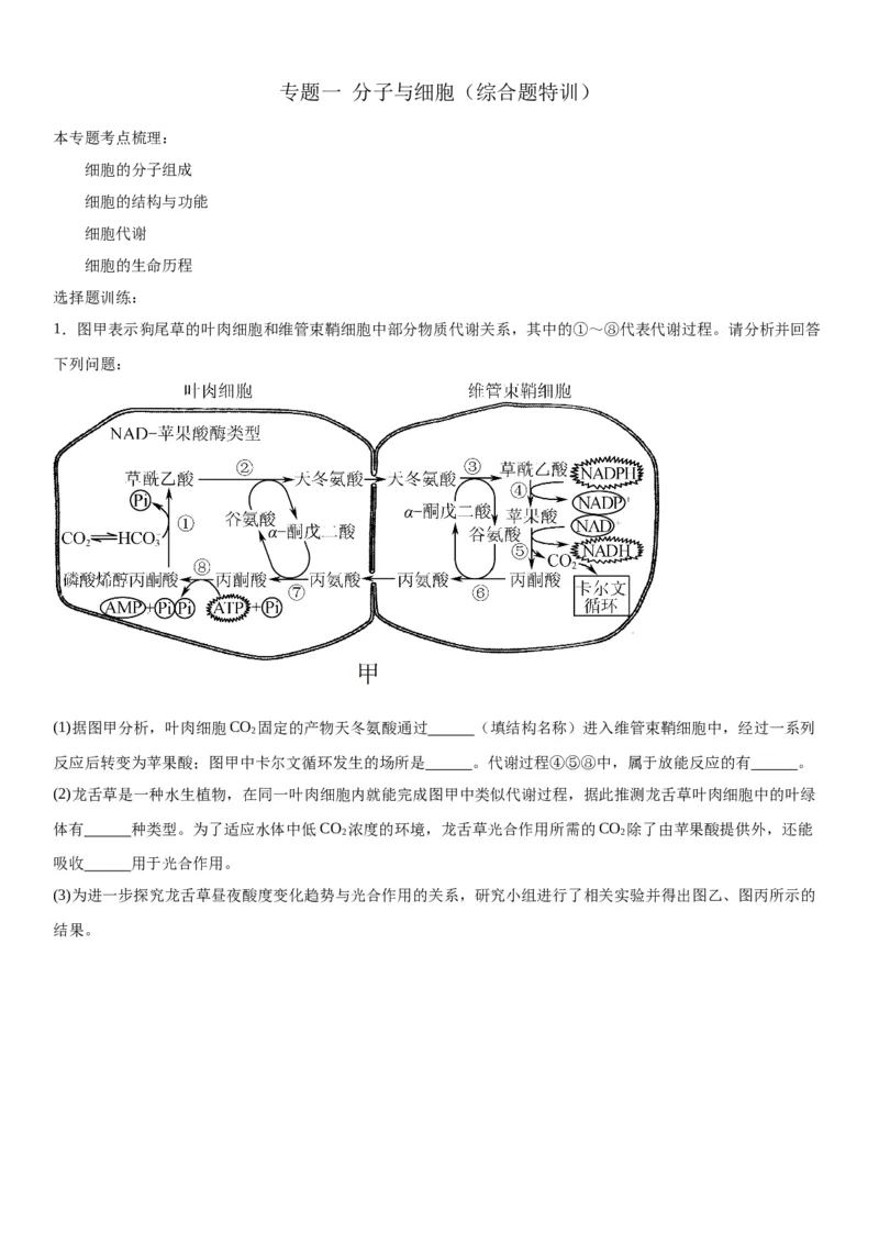 专题一分子与细胞（综合题特训）-2024年高考生物二轮复习专题训练（全国通用）（解析版）_2024年新高考资料_2.2024二轮复习_2024年高考生物二轮复习专题训练（全国通用）