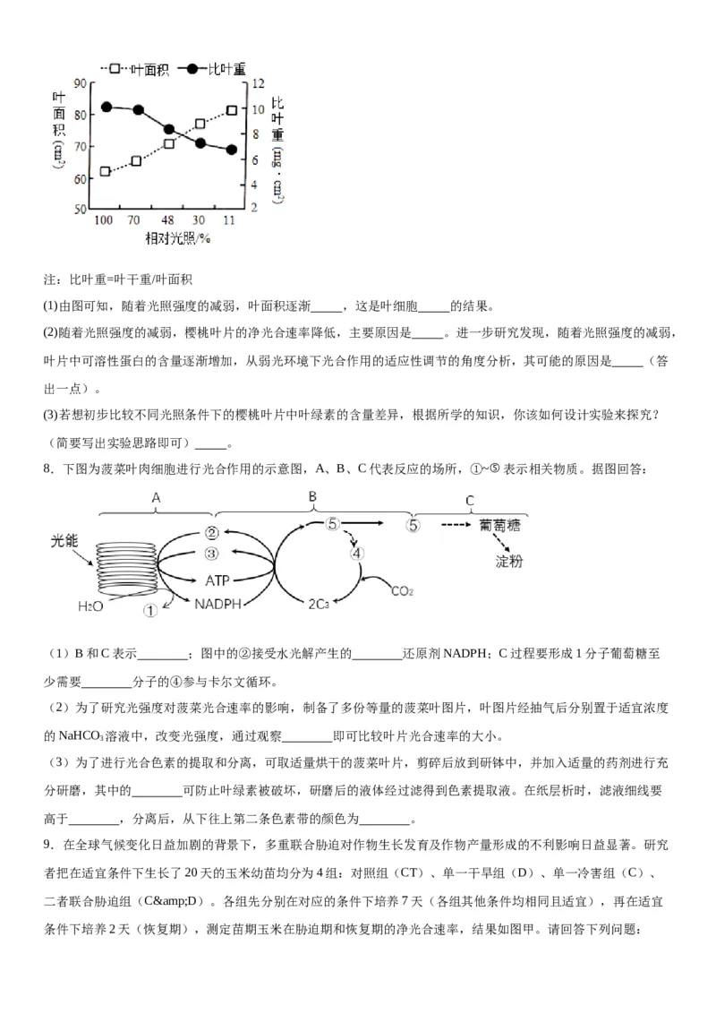 专题一分子与细胞（综合题特训）-2024年高考生物二轮复习专题训练（全国通用）（解析版）_2024年新高考资料_2.2024二轮复习_2024年高考生物二轮复习专题训练（全国通用）