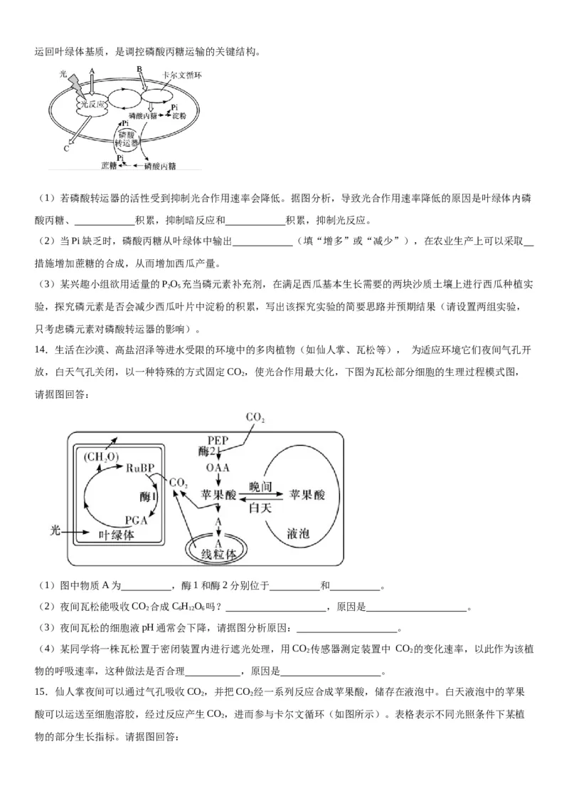 专题一分子与细胞（综合题特训）-2024年高考生物二轮复习专题训练（全国通用）（解析版）_2024年新高考资料_2.2024二轮复习_2024年高考生物二轮复习专题训练（全国通用）