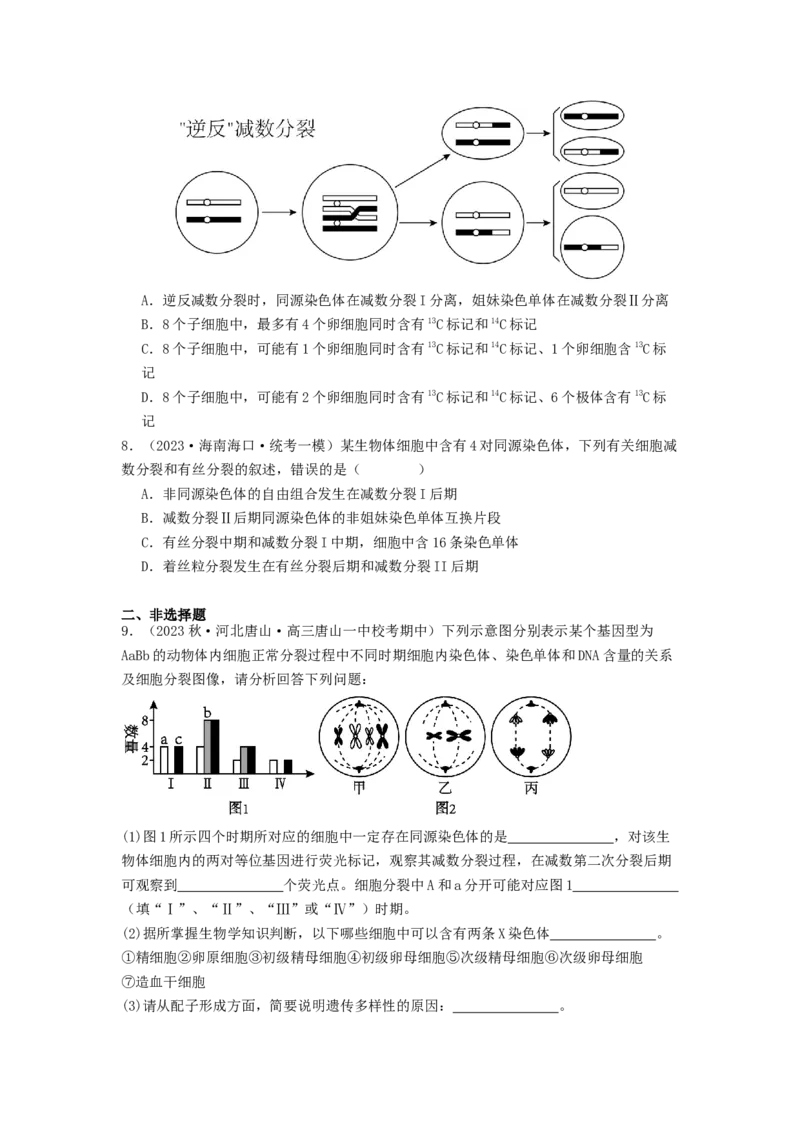 专题10细胞的增殖（原卷版）_2024年新高考资料_1.2024一轮复习_备战2024年高考生物一轮复习抢分特训（全国通用）_专题10+细胞的增殖-备战2024年高考生物一轮复习抢分特训（全国通用）